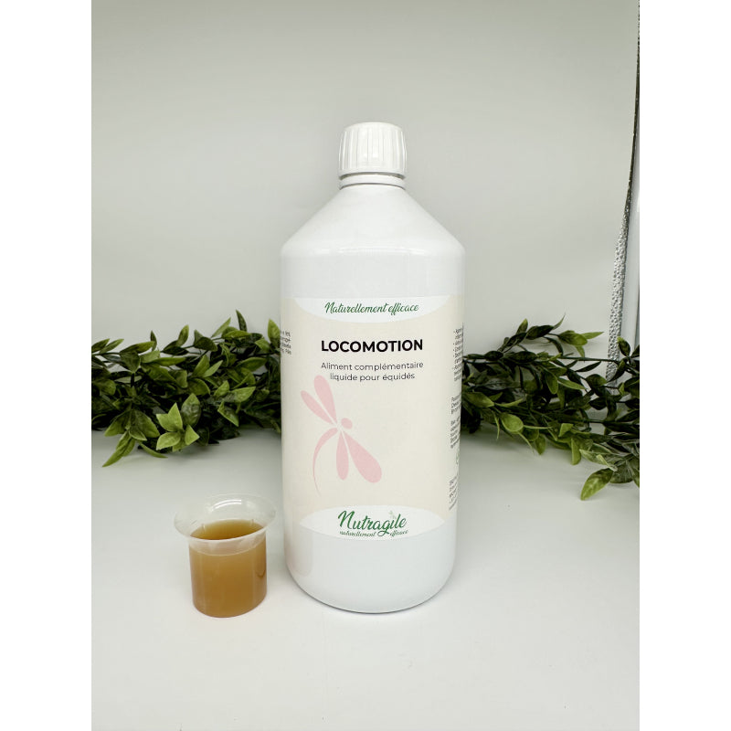Locomotion liquide 500 ML