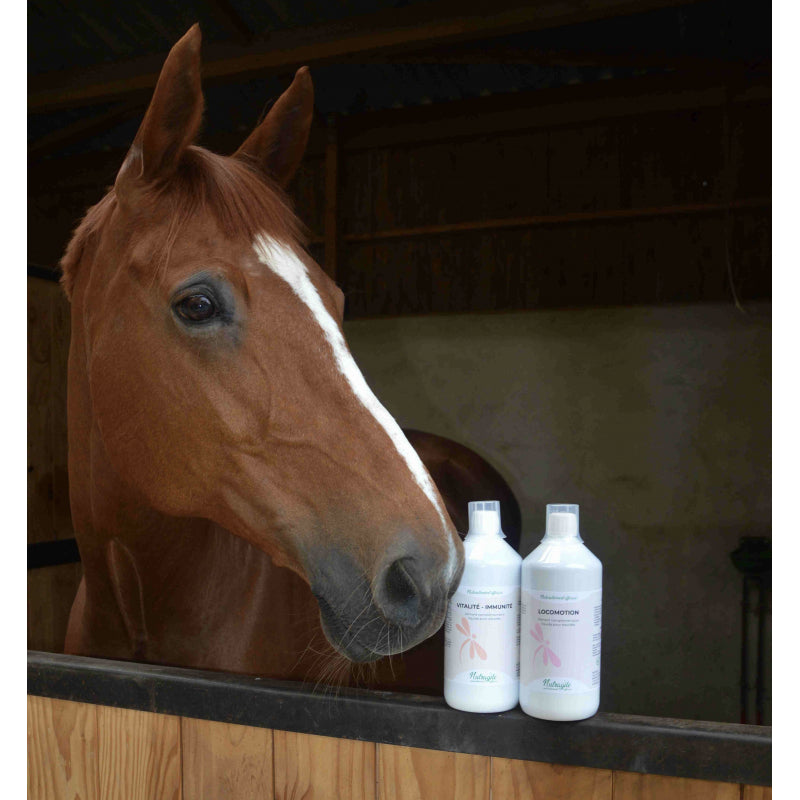 Locomotion liquide 500 ML