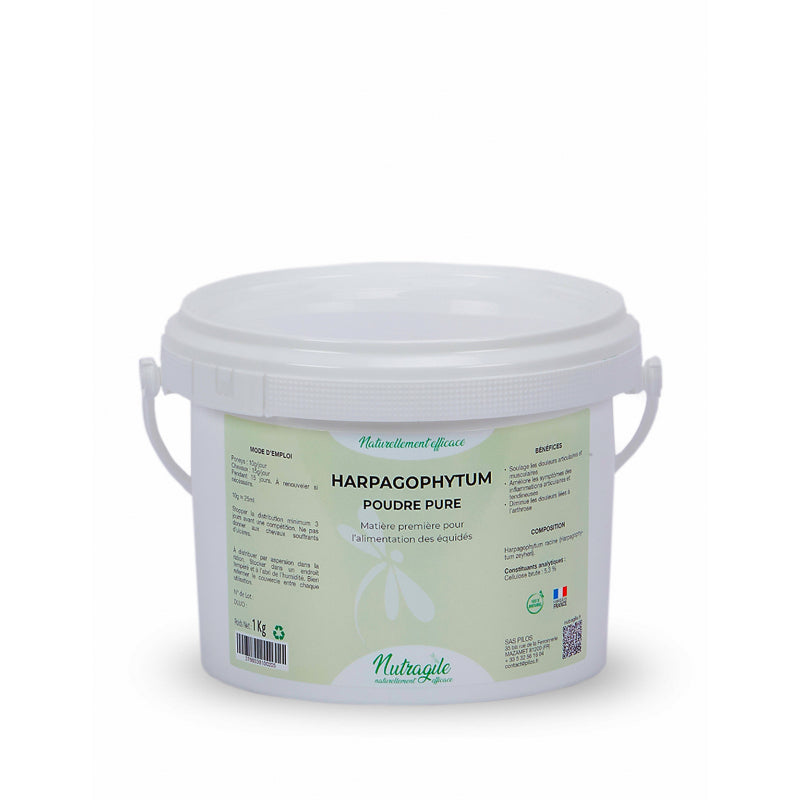 Harpagophytum poudre 1KG