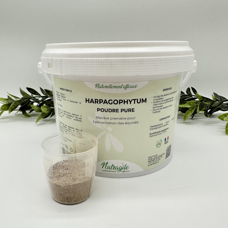 Harpagophytum poudre 1KG