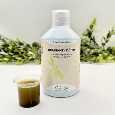 Drainant detox 500 ML