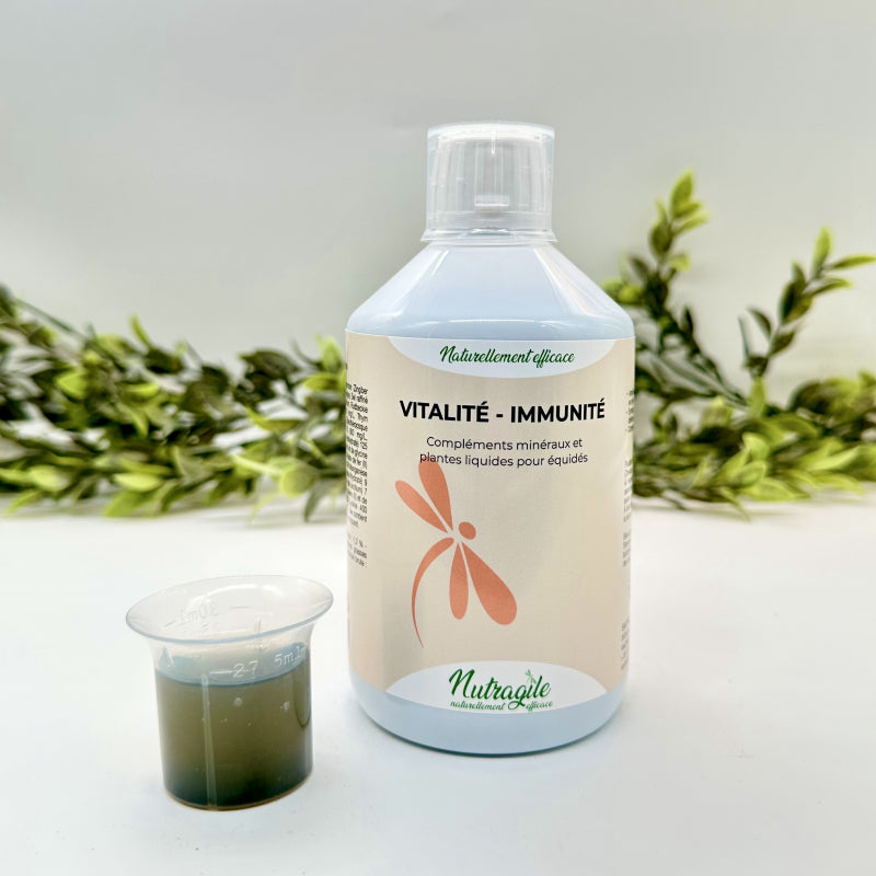 Vitalité - immunités 500 ML