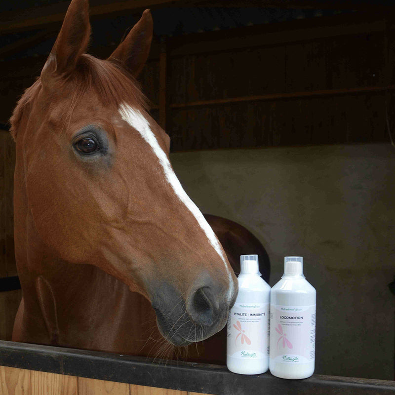 Vitalité - immunités 500 ML