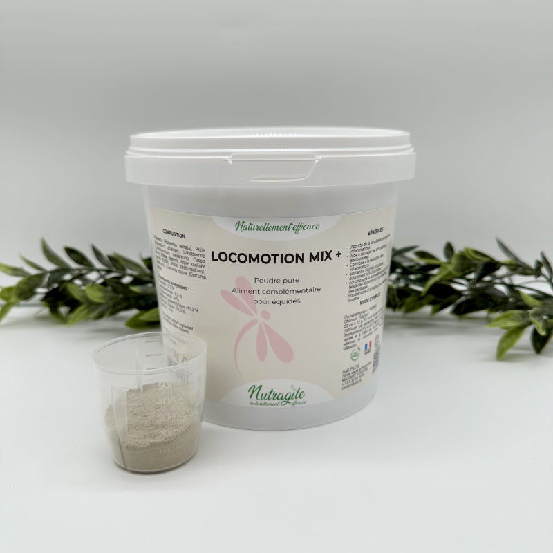 Locomotion mix + 1 kg