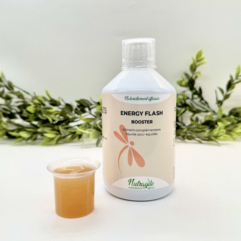 Energy flash-booster 500 ML