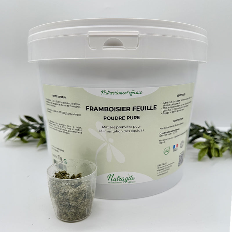Framboisier 1 kg