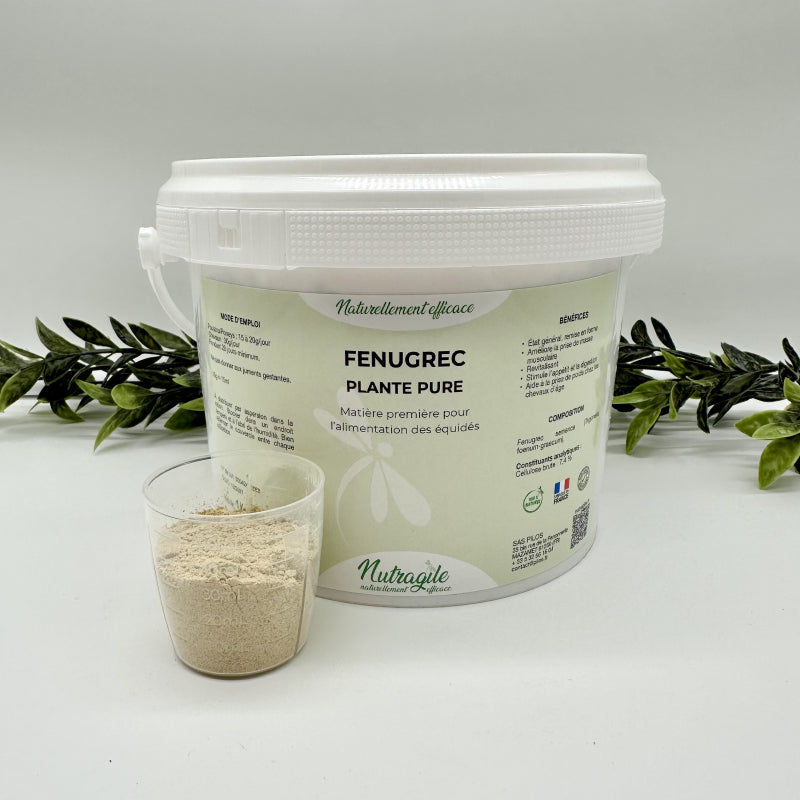 Fénugrec 1 kg