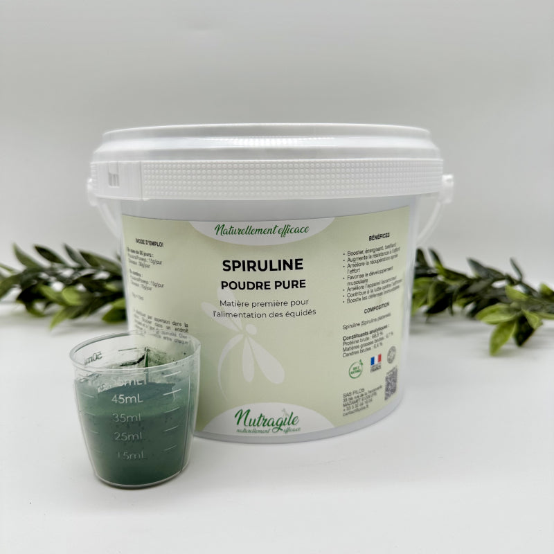 Spiruline 1 kg