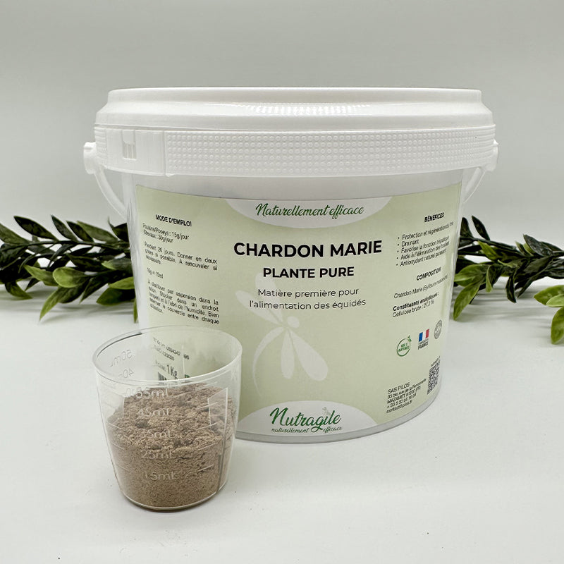 Chardon marie poudre 1 kg