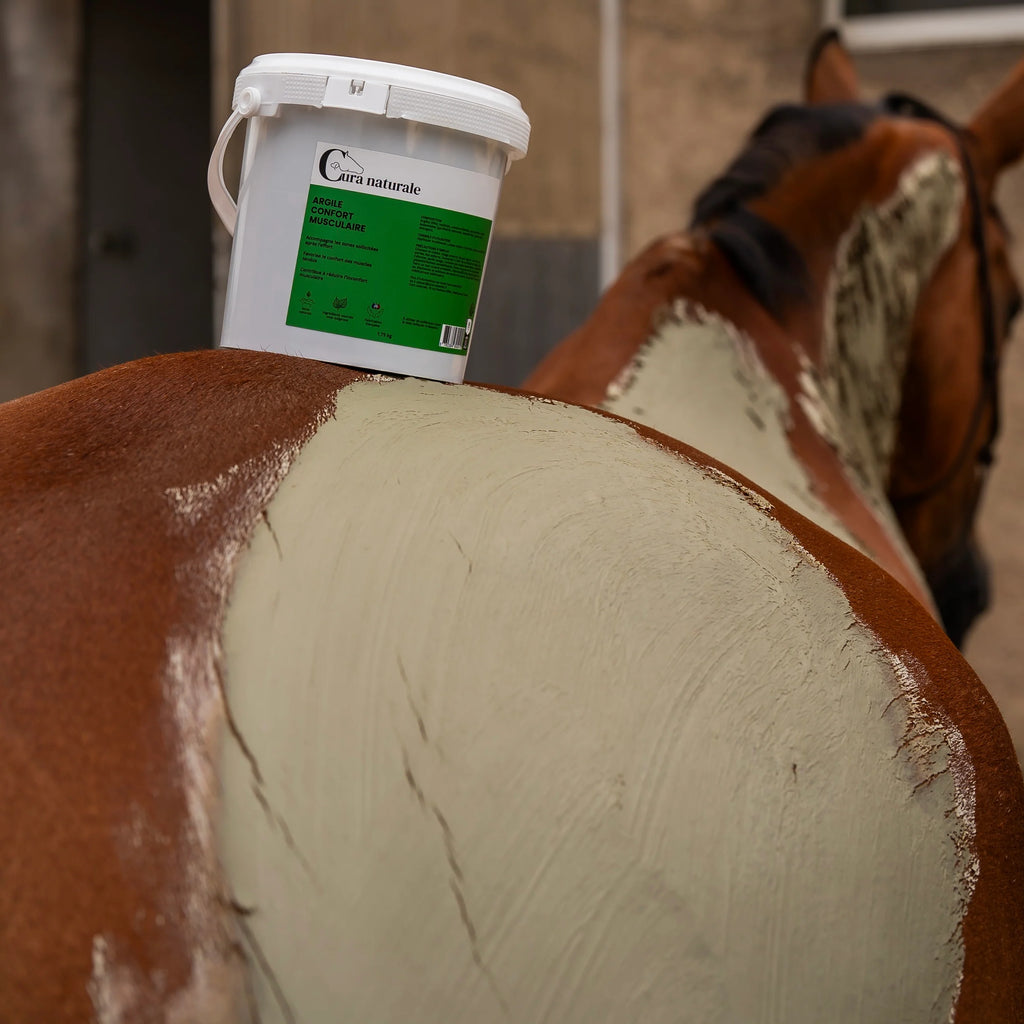 Argile confort musculaire 1,75 kg