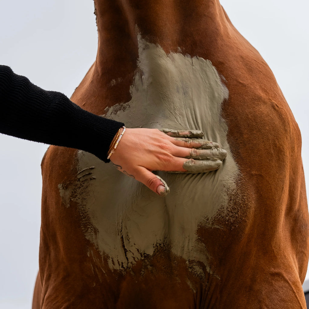 Argile confort musculaire 1,75 kg