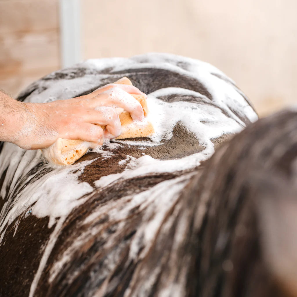 Shampoing répulsif 250 ML
