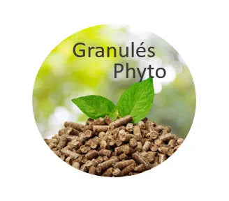 Dermaphyt + 1 KG