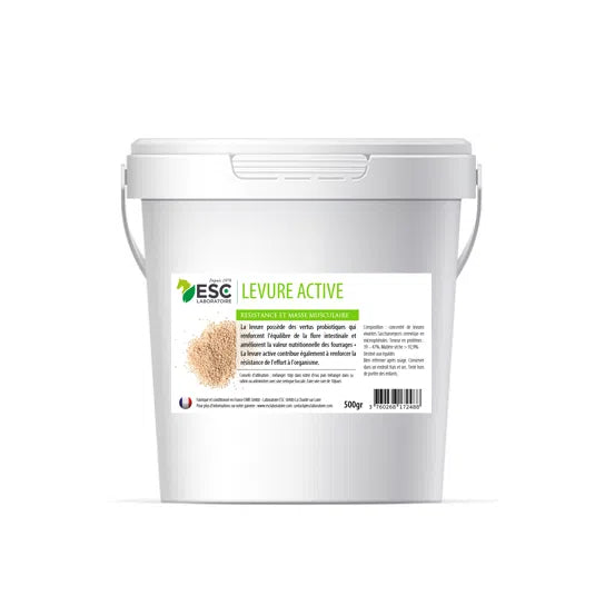 Levure active + 500 kg