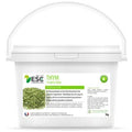 Thym 1 KG