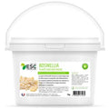 Boswellia