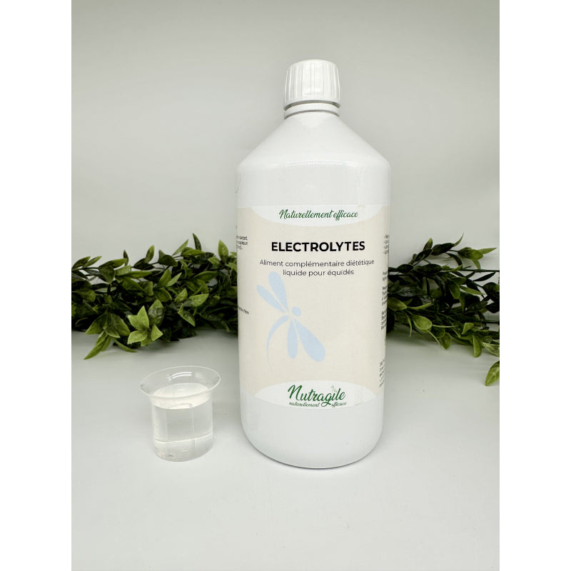Électrolyte liquide 500 ML
